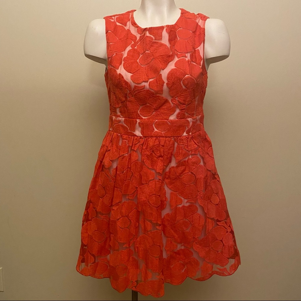 C. Luce Floral Fit & Flare Dress